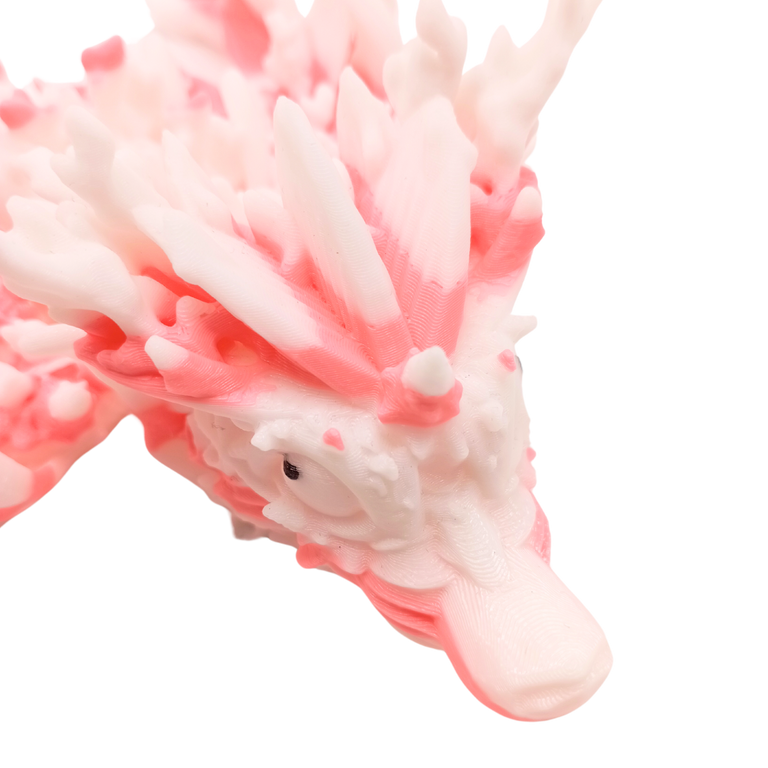 Korallendrache (zweifarbig)