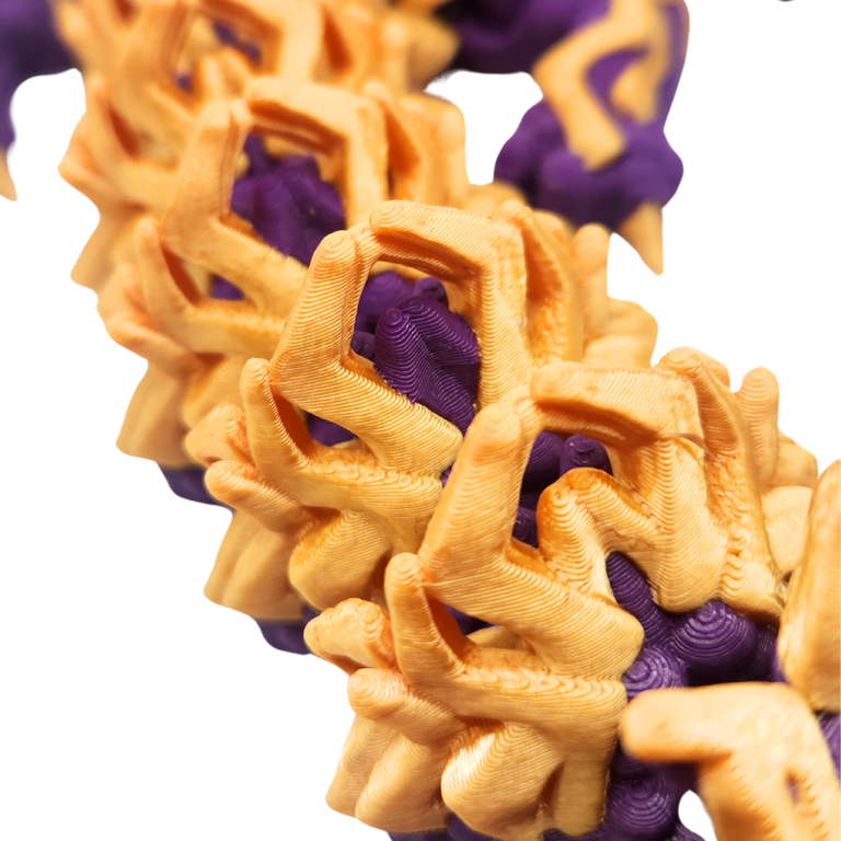 Sturmdrache (zweifarbig)