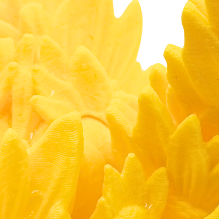 Sonnenblumendrachen Baby