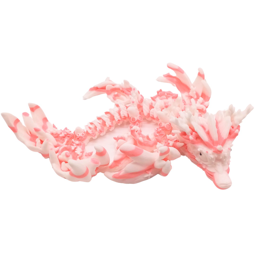 Korallendrache (zweifarbig)