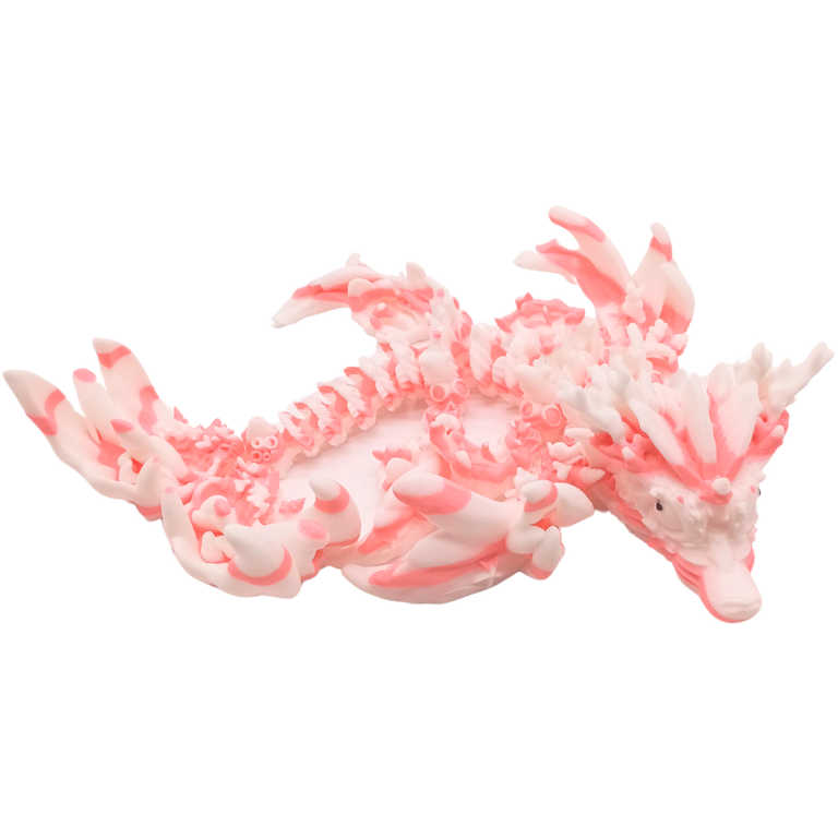 Korallendrache (zweifarbig)