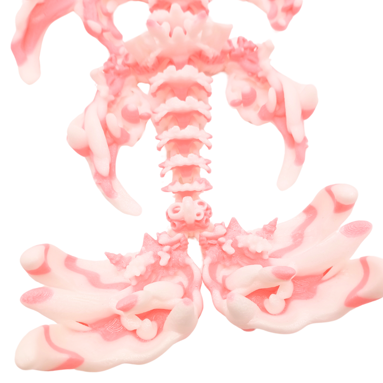 Korallendrache (zweifarbig)