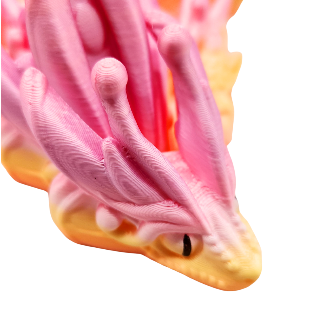 Schmetterlingsdrache Würfelfalter