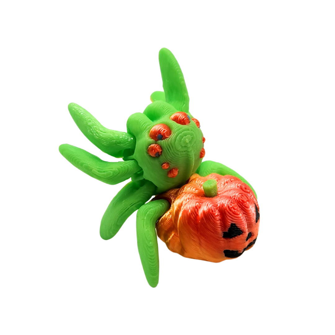 Kürbis Gesichts Spinne