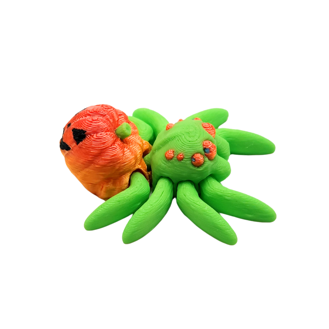 Kürbis Gesichts Spinne