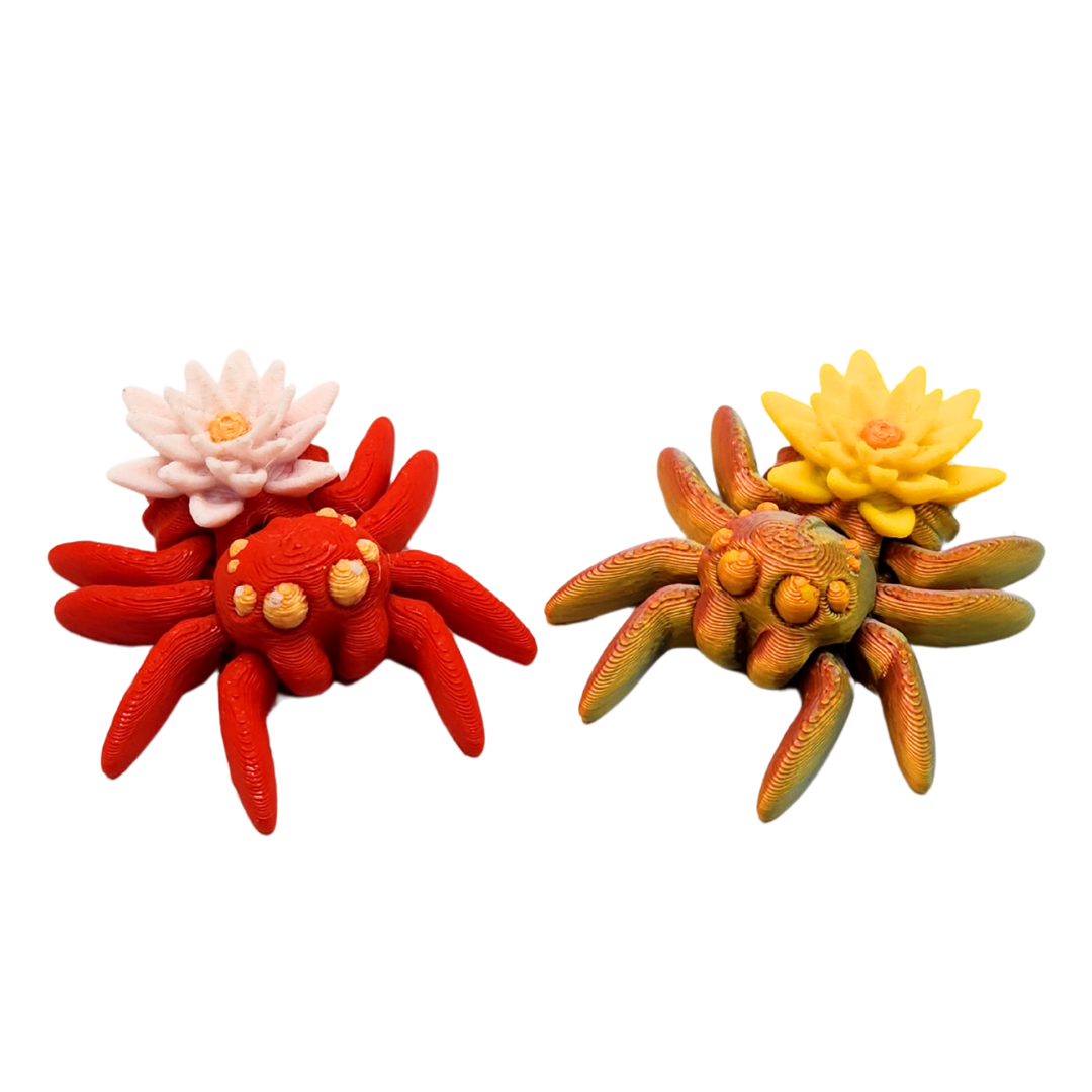 Eine Spinne mit einer Lotus Blüte am Hinderteil