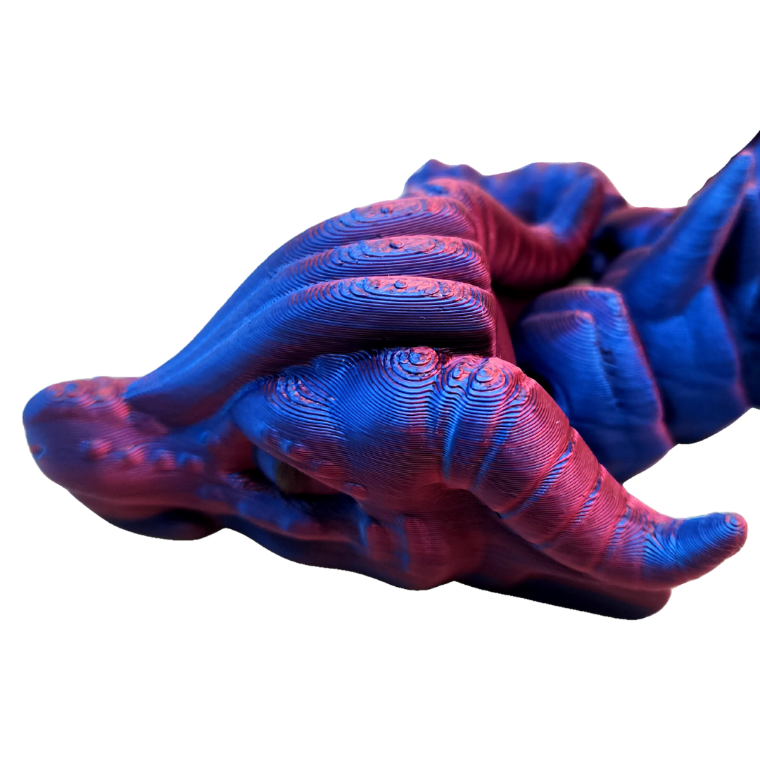 Meeresflügel Drache