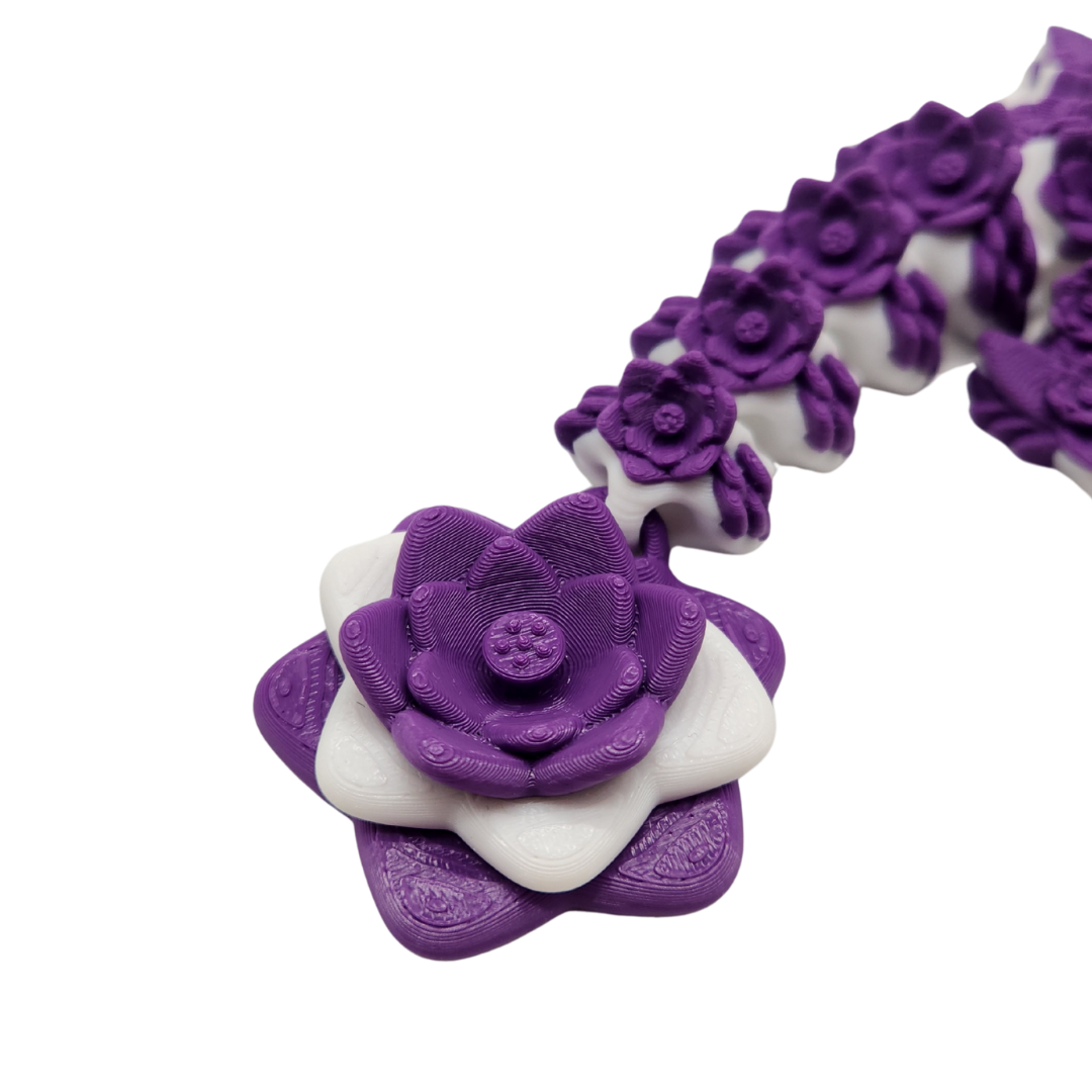 Ranukel Drache (zweifarbig)