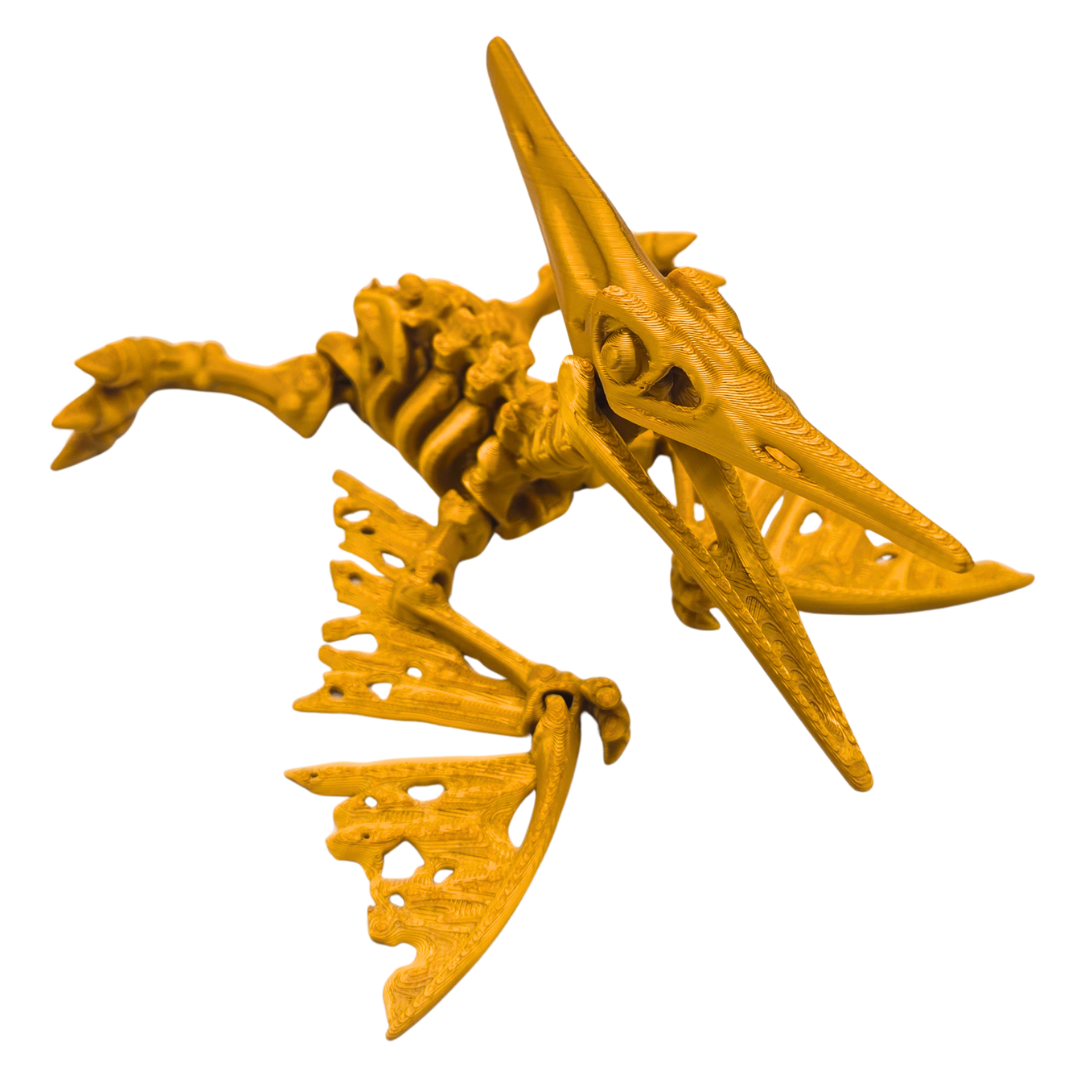 Skelett Pteranodon