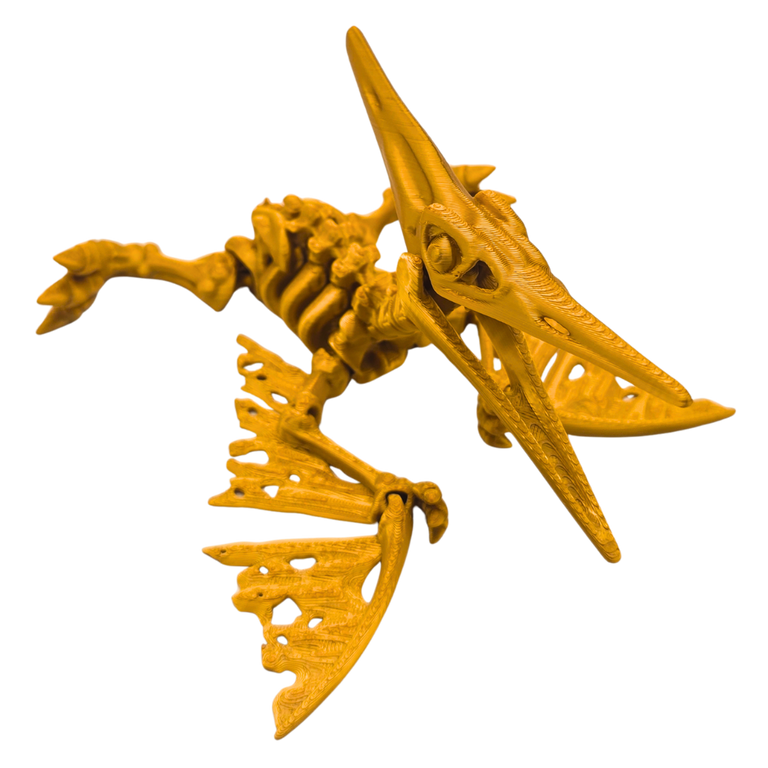 Skelett Pteranodon