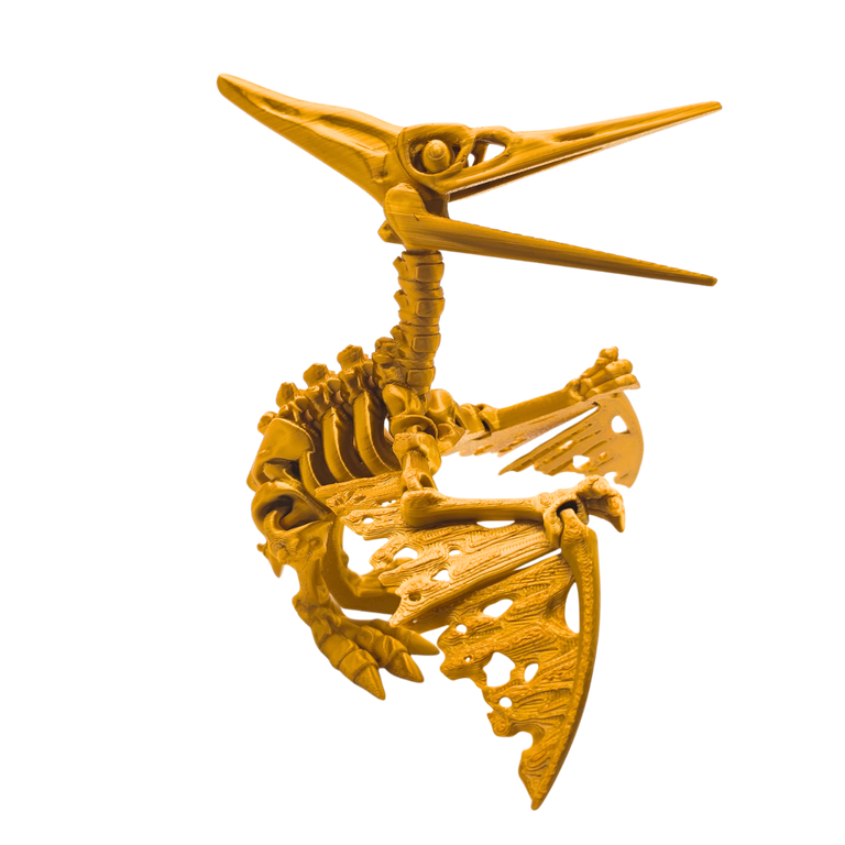 Skelett Pteranodon
