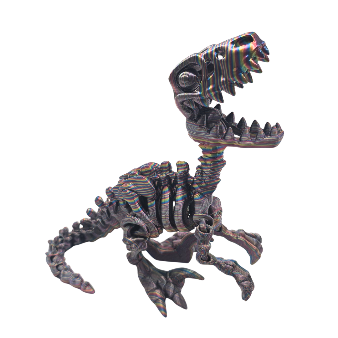 Skelett Raptor