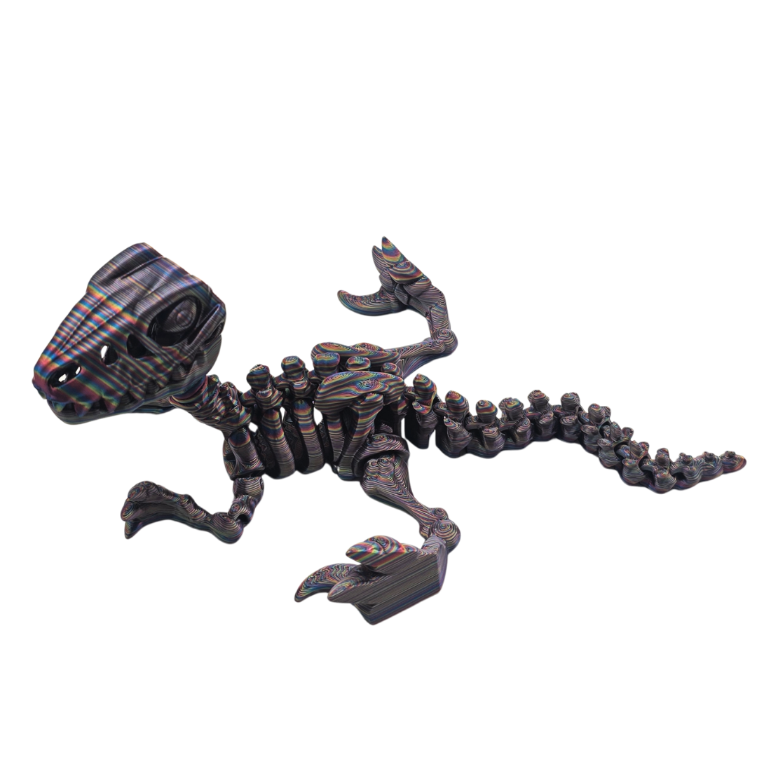Skelett Raptor