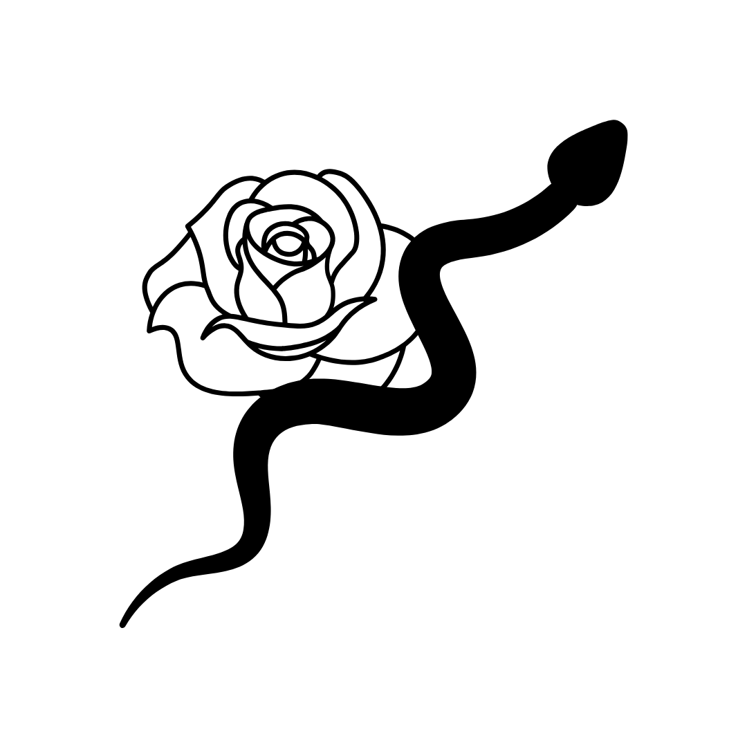 Alt Image