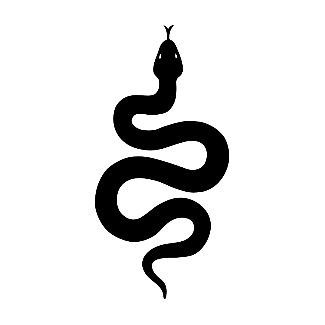 Alt Image